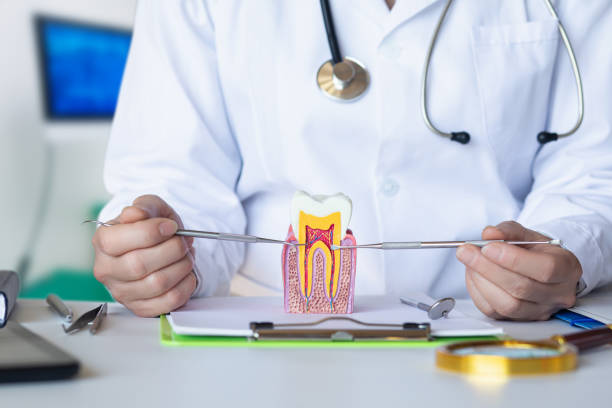 Best Emergency Dentist for Knocked-Out Tooth in Buckingham, FL